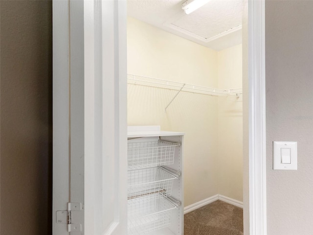 3617 Haddington Ct, Apopka, FL 32712 - photo 39
