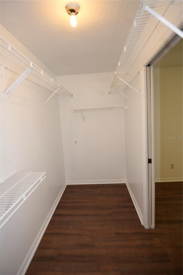 1922 N Torrington Rd N, Avon Park, FL 33825 - walk in closet with wood finished floors