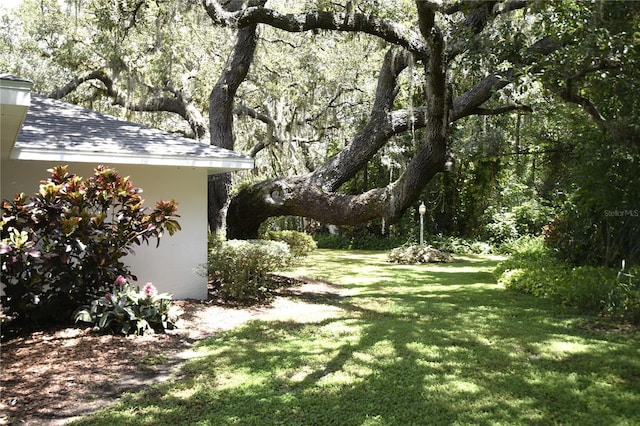 1922 N Torrington Rd N, Avon Park, FL 33825 - view of grassy yard