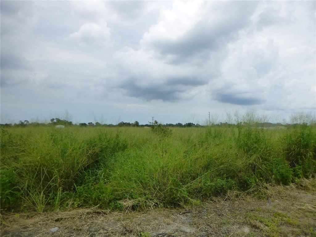 Cheshire Road, Bartow, Fl  33830, FL 33830 - photo 1