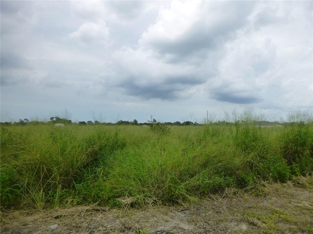 Cheshire Road, Bartow, Fl  33830, FL 33830 - photo 1