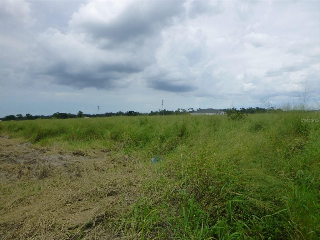 Cheshire Road, Bartow, Fl  33830, FL 33830 - photo 2