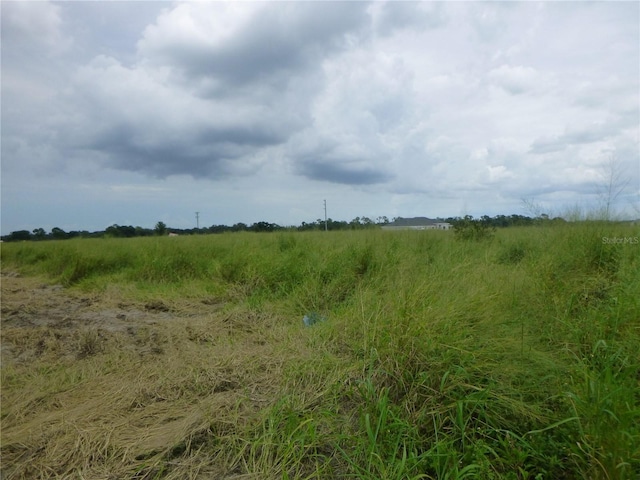 Cheshire Road, Bartow, Fl  33830, FL 33830 - photo 2