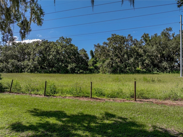 1510 Rosa Ct, Bartow, FL 33830 - photo 48