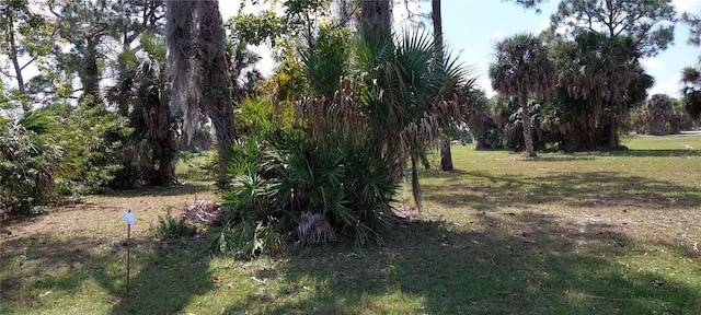 24443 Gijon Ln, Punta Gorda FL, 33955 land for sale