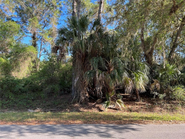 Babroff Ter, North Port FL, 34291 land for sale