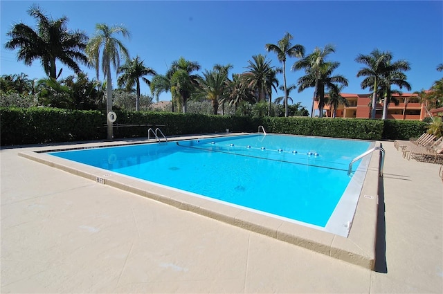 view of pool featuring a patio