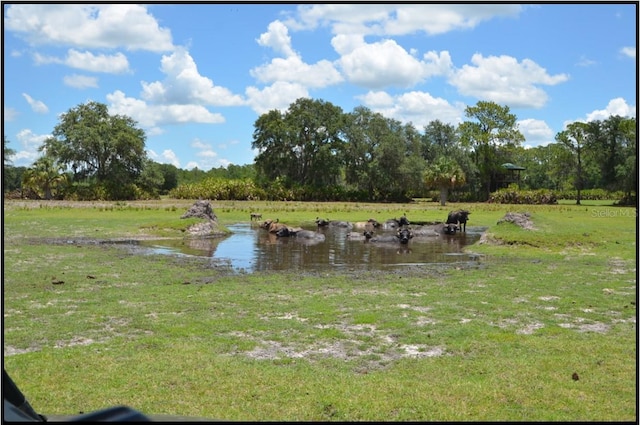7019 Crooked Creek Ln, Zolfo Springs, FL 33890