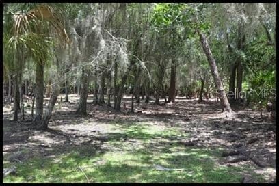 7019 Crooked Creek Ln, Zolfo Springs, FL 33890