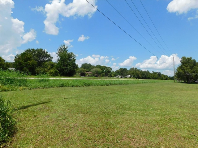 10099 SW Kissimmee Rd, Arcadia, FL 34269 - photo 1