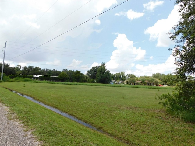 10099 SW Kissimmee Rd, Arcadia, FL 34269 - photo 2