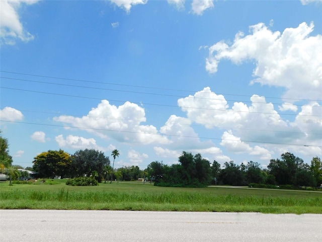 10099 SW Kissimmee Rd, Arcadia, FL 34269 - photo 10