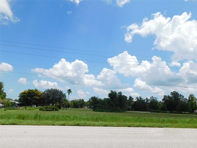 10099 SW Kissimmee Rd, Arcadia, FL 34269 - photo 11