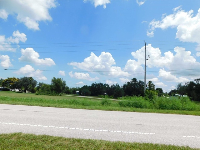 10099 SW Kissimmee Rd, Arcadia, FL 34269 - photo 13