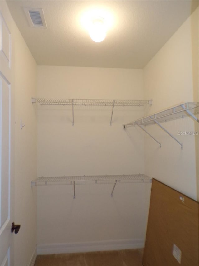 spacious closet featuring carpet floors