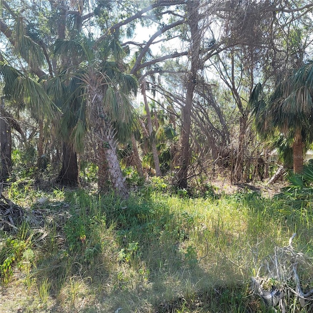 Caruso Ln, North Port FL, 34287 land for sale