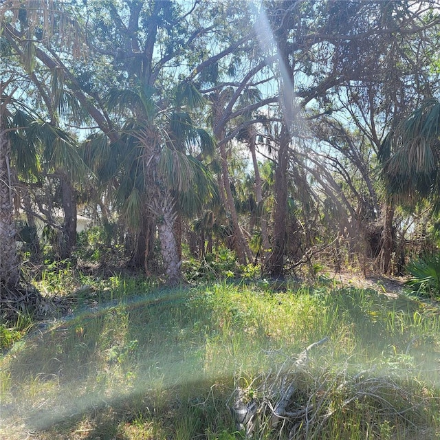 Listing photo 2 for Caruso Ln, North Port FL 34287