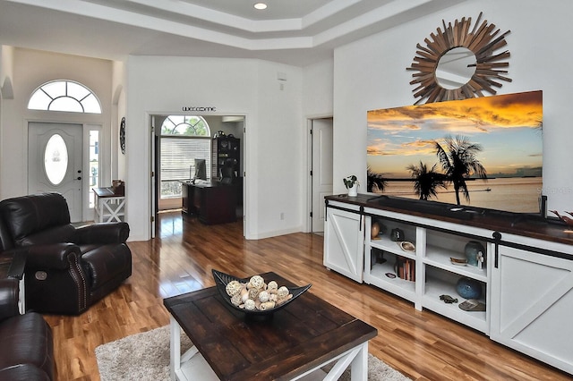 living room featuring a tray ceiling and light hardwood / wood-style flooring