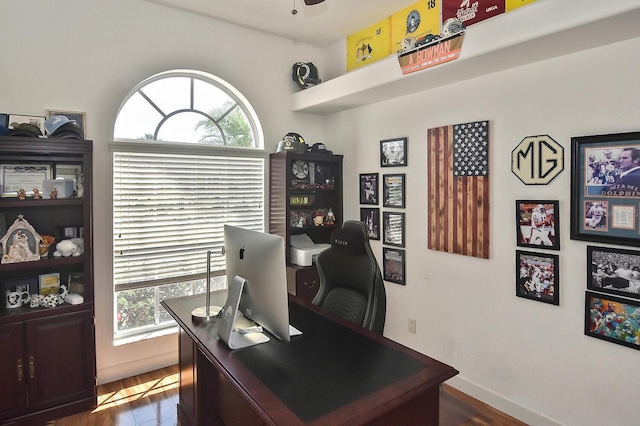 office with dark hardwood / wood-style floors