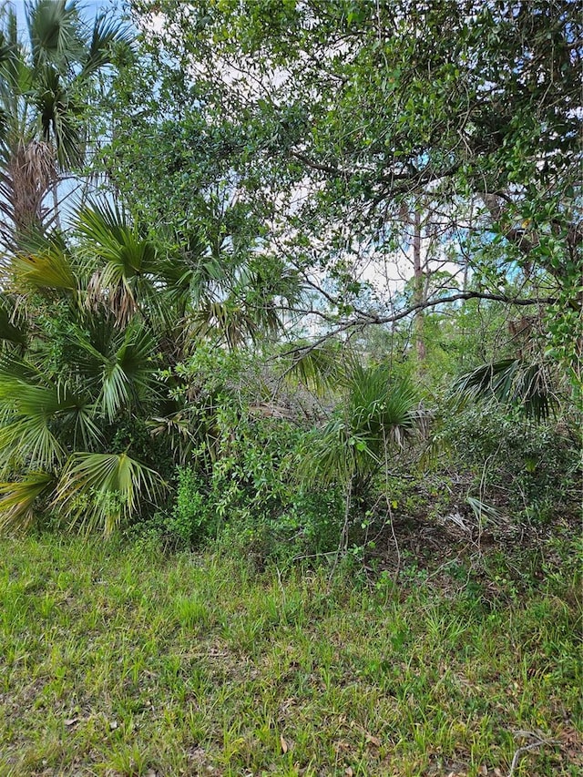 Rentscher Ave, North Port FL, 34291 land for sale