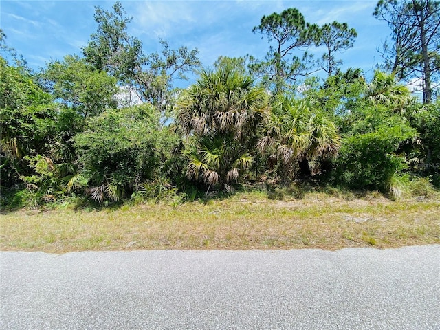 17056 Alvin Ave, Port Charlotte FL, 33948 land for sale