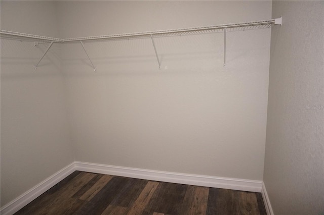 walk in closet with dark hardwood / wood-style floors