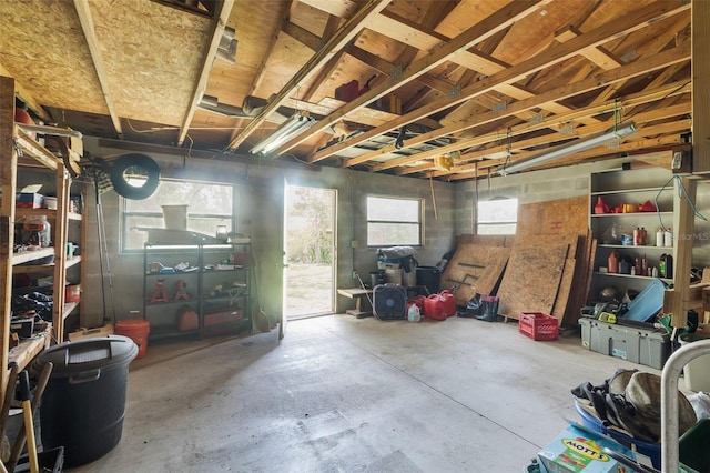 basement with plenty of natural light