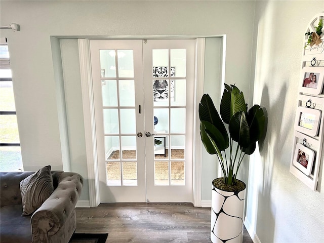 entryway with dark wood-type flooring and french doors