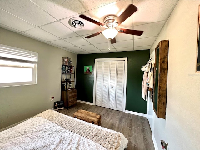 bedroom featuring a paneled ceiling, a closet, ceiling fan, and dark hardwood / wood-style flooring