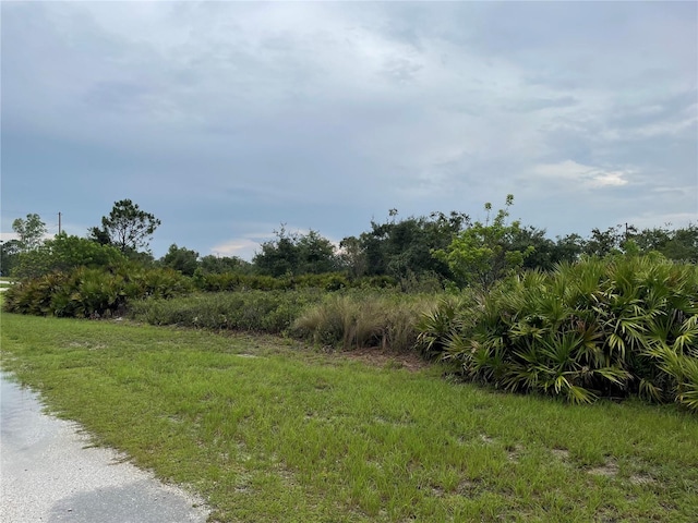 2000 W Bermuda Rd, Avon Park FL, 33825 land for sale