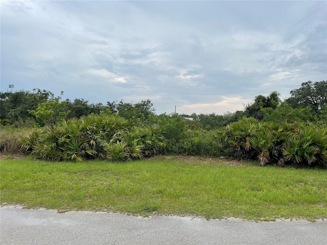 Listing photo 2 for 2000 W Bermuda Rd, Avon Park FL 33825