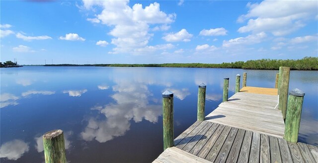 2033 Treasure Ln, Punta Gorda, FL 33982 - photo 57