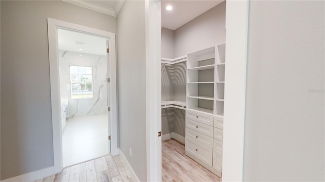 walk in closet with light wood-type flooring