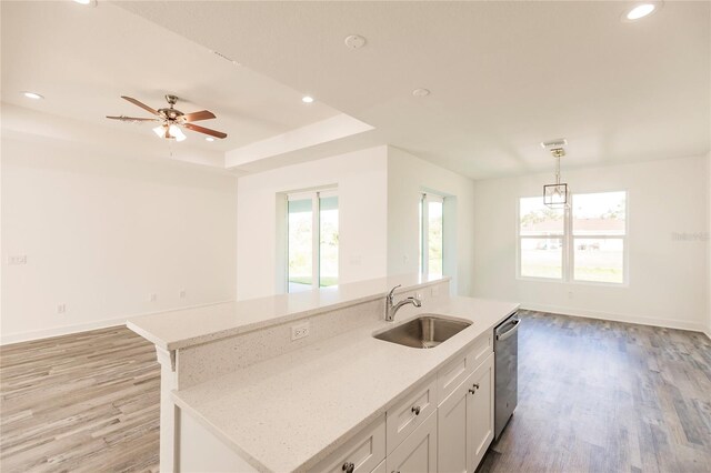 kitchen with plenty of natural light, a tray ceiling, sink, and a kitchen island with sink