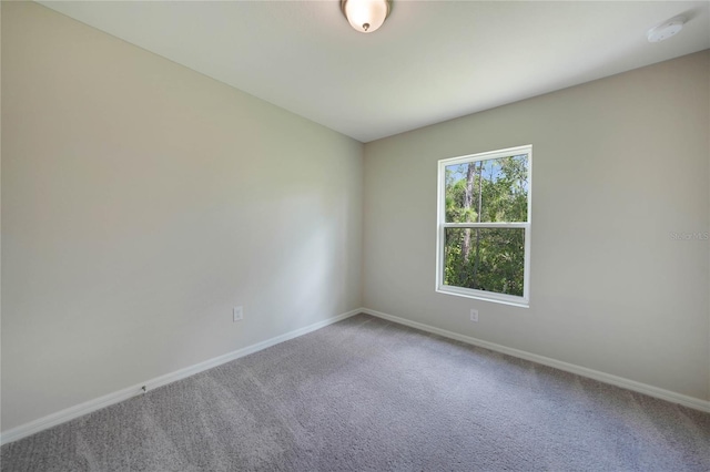 spare room with carpet floors