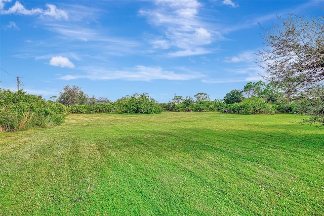 view of yard