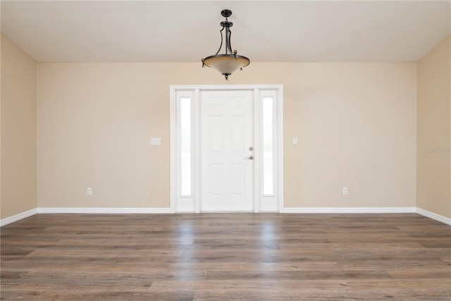 entrance foyer with dark wood-type flooring