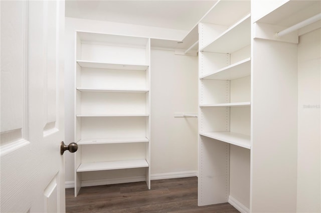 spacious closet with dark wood-type flooring