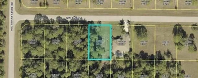 3922 NW 46th St, Cape Coral, FL 33993 - photo 1