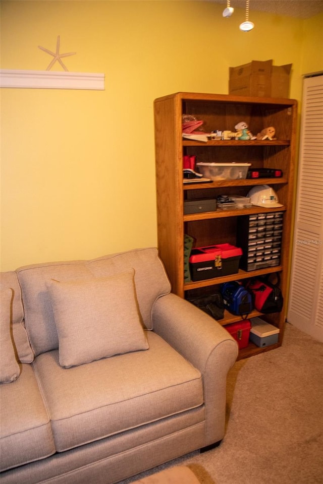 interior space featuring carpet floors