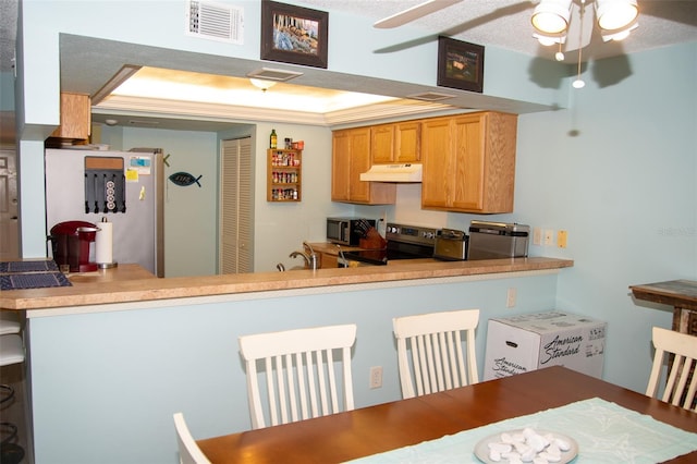 kitchen featuring appliances with stainless steel finishes, sink, ceiling fan, kitchen peninsula, and a raised ceiling