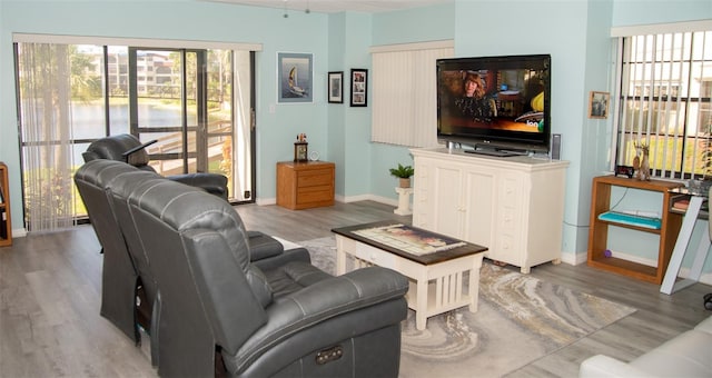 living room featuring hardwood / wood-style floors and a wealth of natural light