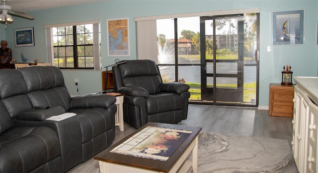 living room with ceiling fan and wood-type flooring