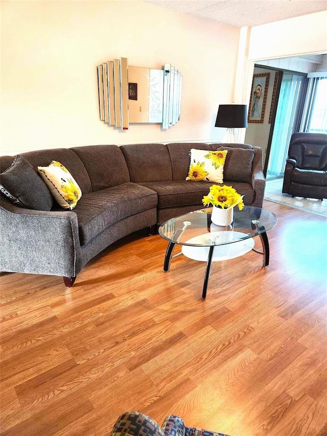 living room with wood-type flooring and a textured ceiling