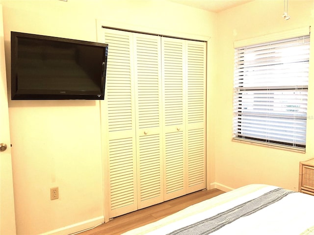 bedroom featuring a closet and hardwood / wood-style floors