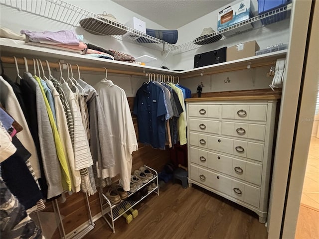 walk in closet featuring dark hardwood / wood-style floors