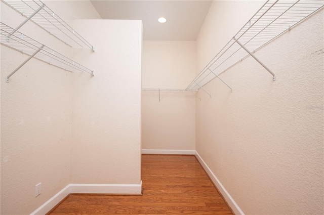 spacious closet featuring wood-type flooring