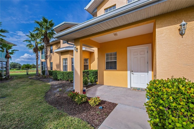 property entrance featuring stucco siding and a lawn