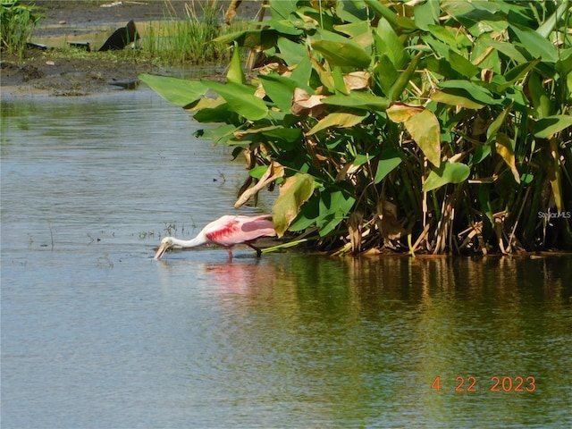 property view of water