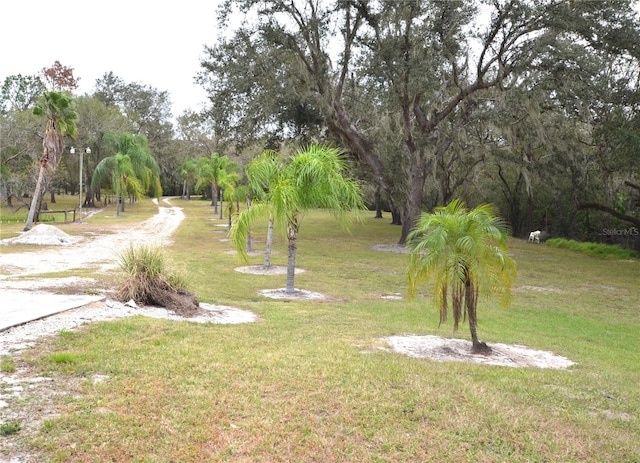 view of property's community with a lawn